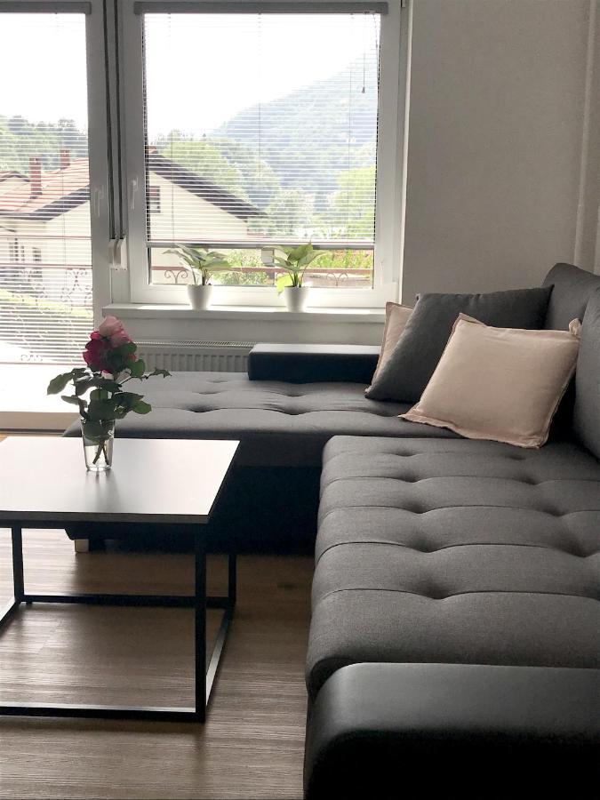 Apartment Loyd, Tolmin - Most na Soči Exteriér fotografie