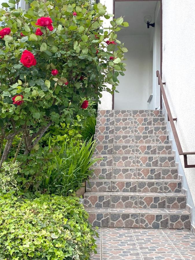 Apartment Loyd, Tolmin - Most na Soči Exteriér fotografie