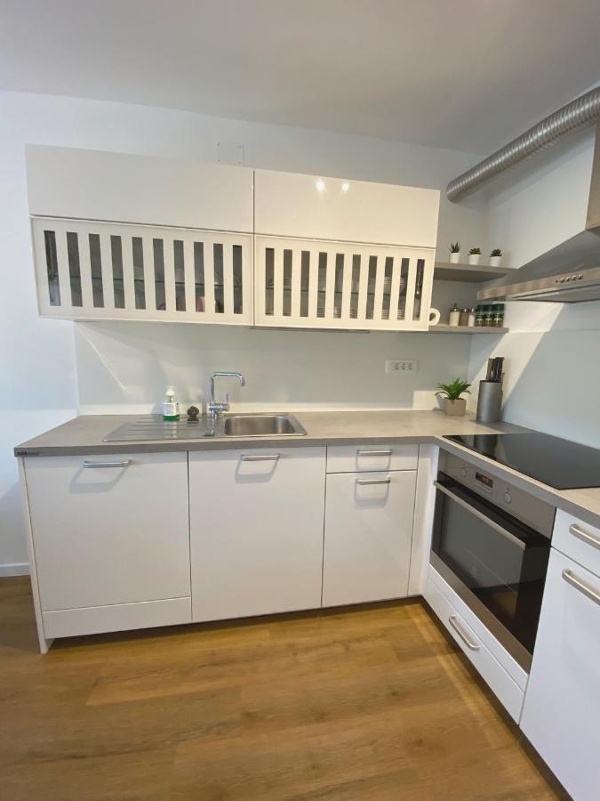 Apartment Loyd, Tolmin - Most na Soči Exteriér fotografie